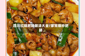 四川红烧肥肠做法大全/家常爆炒肥肠