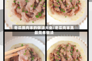 冬瓜蒸肉末的做法大全/冬瓜肉末蒸最简单做法