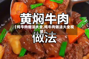 【炖牛肉做法大全,炖牛肉做法大全视频】