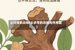 土伏苓的功效(土伏芩的功效与作用禁)