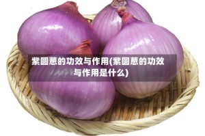 紫圆葱的功效与作用(紫圆葱的功效与作用是什么)