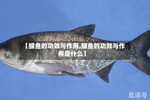 【鳙鱼的功效与作用,鳙鱼的功效与作用是什么】