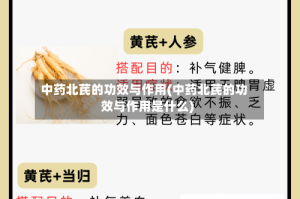 中药北芪的功效与作用(中药北芪的功效与作用是什么)