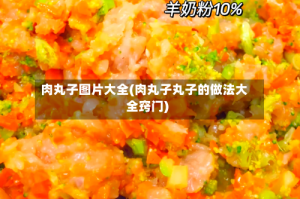 肉丸子图片大全(肉丸子丸子的做法大全窍门)