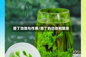 苦丁功效与作用/苦丁的功效和禁忌