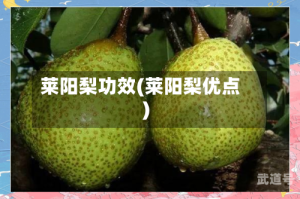莱阳梨功效(莱阳梨优点)