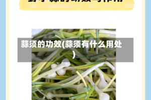 蒜须的功效(蒜须有什么用处)