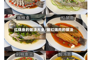 红烧鱼的做法大全/做红烧肉的做法