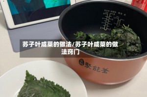 苏子叶咸菜的做法/苏子叶咸菜的做法窍门