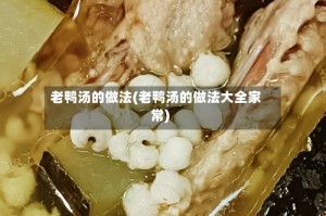 老鸭汤的做法(老鸭汤的做法大全家常)