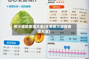 榨汁减肥食谱大全(水果榨汁减肥食谱大全)