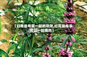 【红花益母草一起的功效,红花益母草可以一起喝吗】