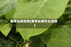 黄芋头的功效(黄芋头有什么功效)