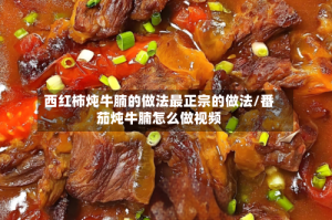 西红柿炖牛腩的做法最正宗的做法/番茄炖牛腩怎么做视频