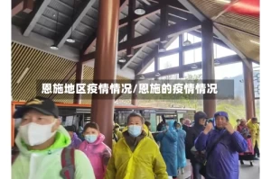 恩施地区疫情情况/恩施的疫情情况