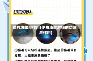 猫的功效与作用(伊曲康唑对猫的功效与作用)