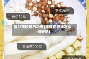 猪肚花胶汤的功效(猪肚花胶汤怎么做好吃)