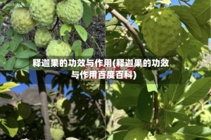 释迦果的功效与作用(释迦果的功效与作用百度百科)