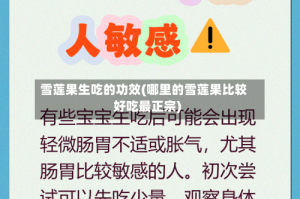 雪莲果生吃的功效(哪里的雪莲果比较好吃最正宗)