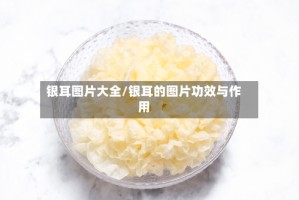 银耳图片大全/银耳的图片功效与作用