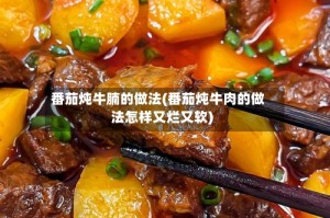番茄炖牛腩的做法(番茄炖牛肉的做法怎样又烂又软)