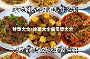 炒菜大全/炒菜大全家常菜大全