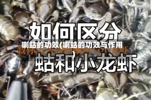 喇蛄的功效(喇蛄的功效与作用)