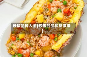 炒饭品种大全(炒饭的品种及做法)