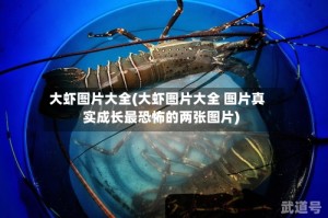 大虾图片大全(大虾图片大全 图片真实成长最恐怖的两张图片)