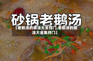 【老鹅汤的做法大全窍门,老鹅汤的做法大全集窍门】