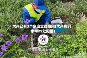 大兴已有3个家庭全员感染(大兴病例家中29处阳性)