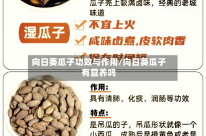 向日葵瓜子功效与作用/向日葵瓜子有营养吗