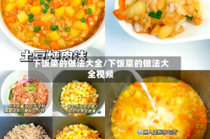 下饭菜的做法大全/下饭菜的做法大全视频