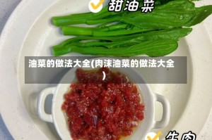 油菜的做法大全(肉沫油菜的做法大全)