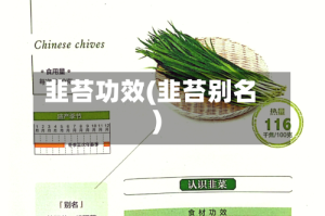 韭苔功效(韭苔别名)