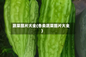 蔬菜图片大全(各类蔬菜图片大全)