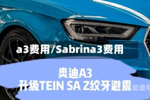 a3费用/Sabrina3费用