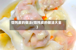 馄饨皮的做法(馄饨皮的做法大全)