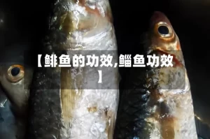 【鲱鱼的功效,鲻鱼功效】