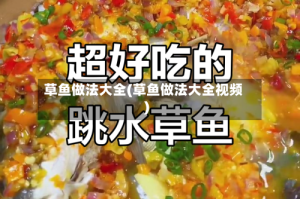 草鱼做法大全(草鱼做法大全视频)