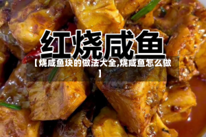 【烧咸鱼块的做法大全,烧咸鱼怎么做】