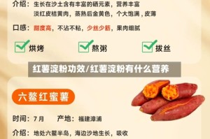 红薯淀粉功效/红薯淀粉有什么营养