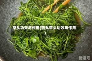 草头功效与作用(药丸草头功效与作用)