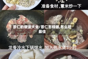 薏仁的做法大全/薏仁怎样做,怎么吃最佳