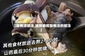 【酸梅汤做法,猪肺橄榄酸梅汤的做法】