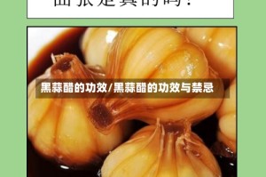 黑蒜醋的功效/黑蒜醋的功效与禁忌