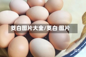 茭白图片大全/茭白 图片