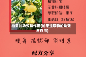 柚果的功效与作用(柚果提取物的功效与作用)