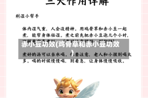 赤小豆功效(鸡骨草和赤小豆功效)