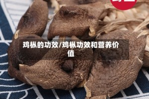 鸡枞的功效/鸡枞功效和营养价值